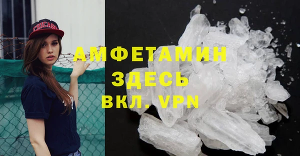 мдпв Бородино