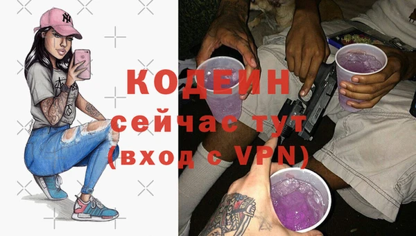 дживик Белокуриха