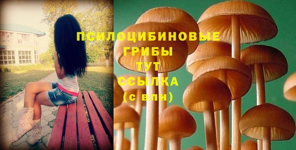 ECSTASY Бронницы