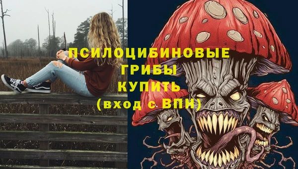 ECSTASY Бронницы