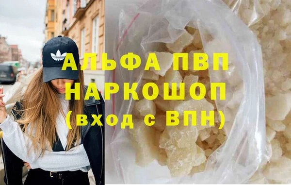 мдпв Бородино