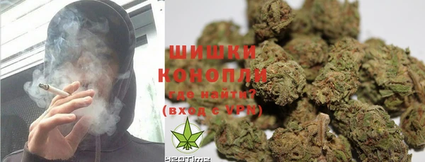 гидра Богородицк